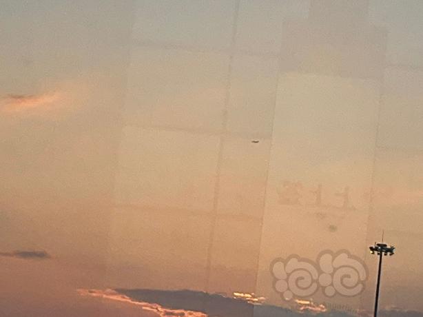 夕阳下飞过白云机场的飞机-图3
