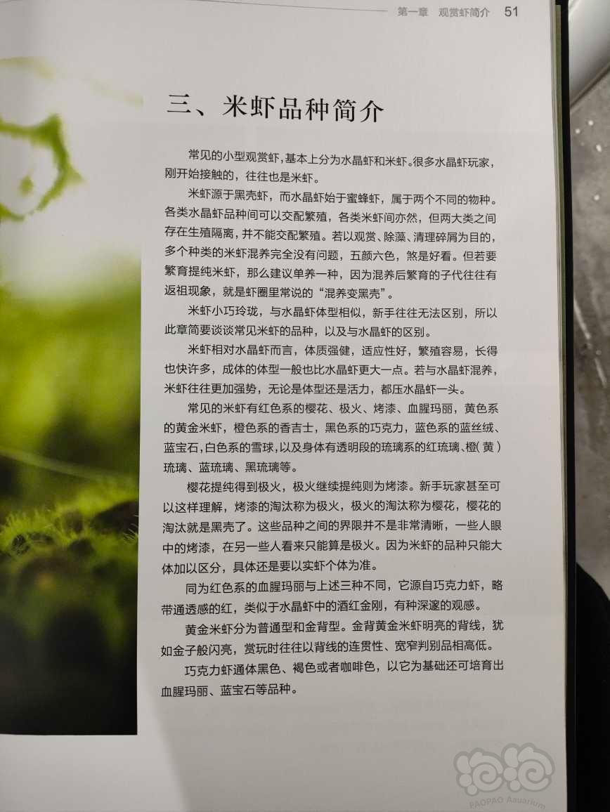 【用品】2023-2-1#RMB拍卖#《情迷水晶虾:鉴赏与养殖》一本-图4
