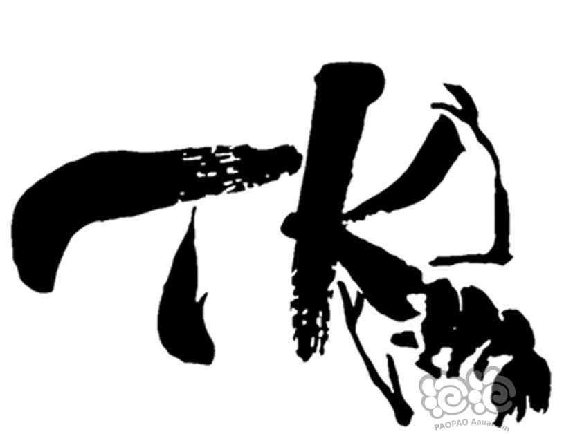 【用品】2023-02-06#RMB拍卖#TM style顶级虾饲料-图1