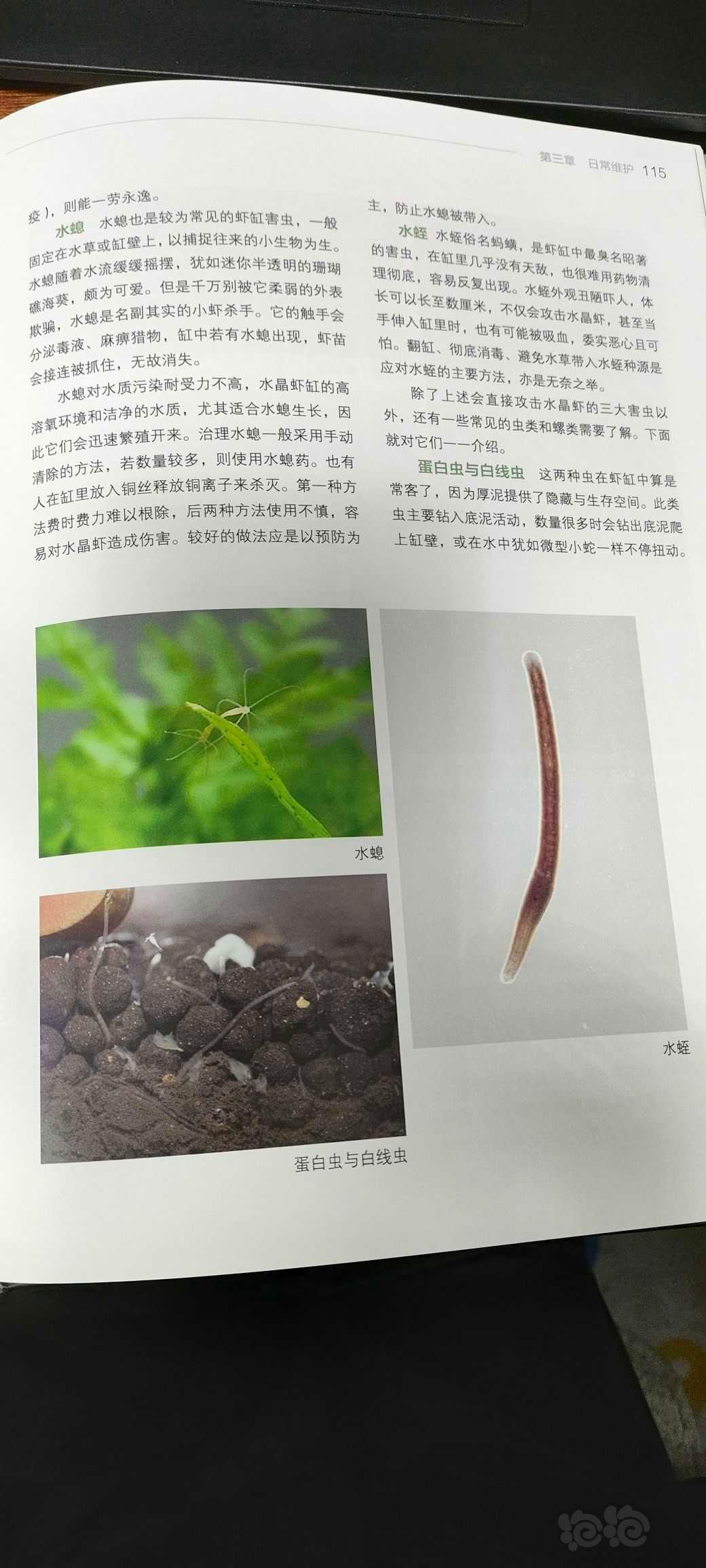 【用品】2023-3-15#RMB拍卖#《情迷水晶虾》书一本-图7