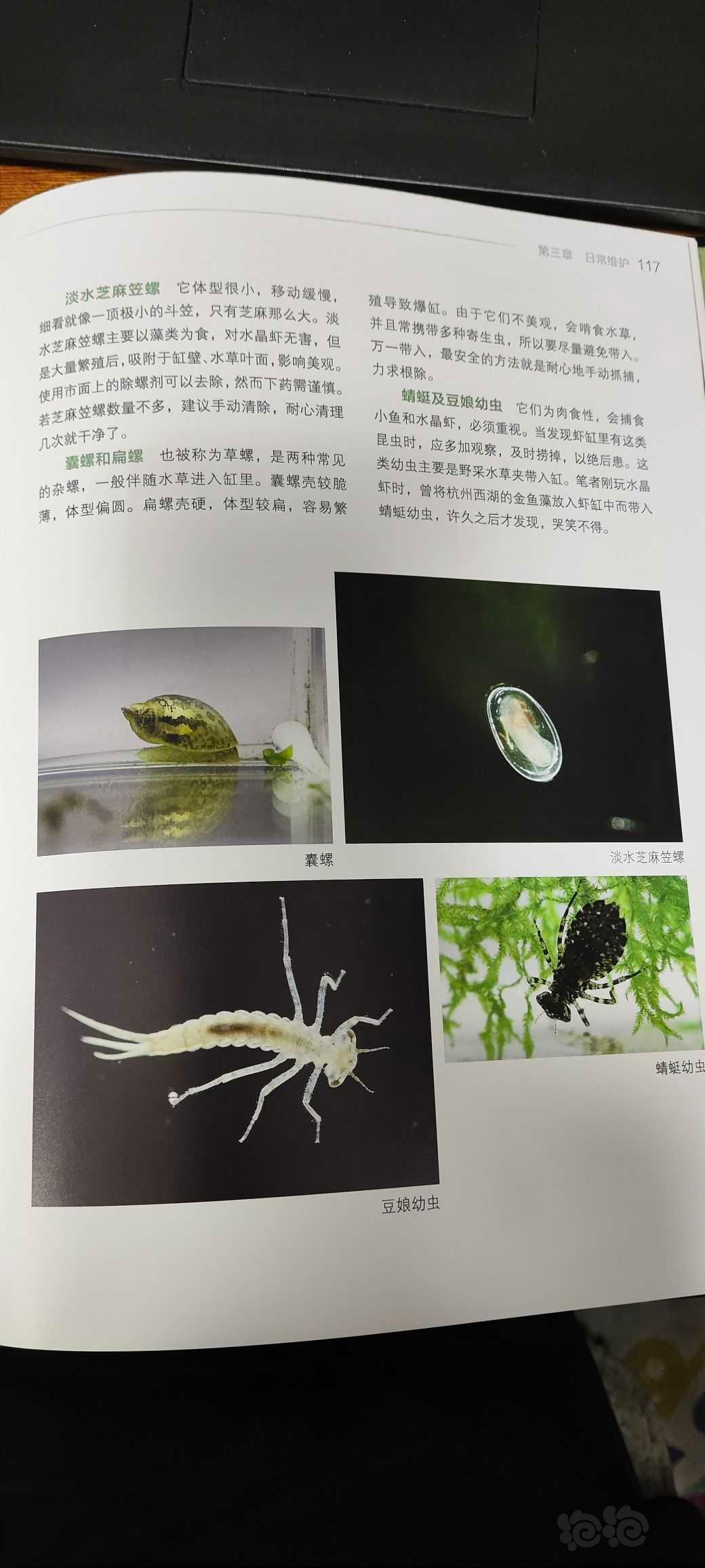 【用品】2023-3-15#RMB拍卖#《情迷水晶虾》书一本-图8