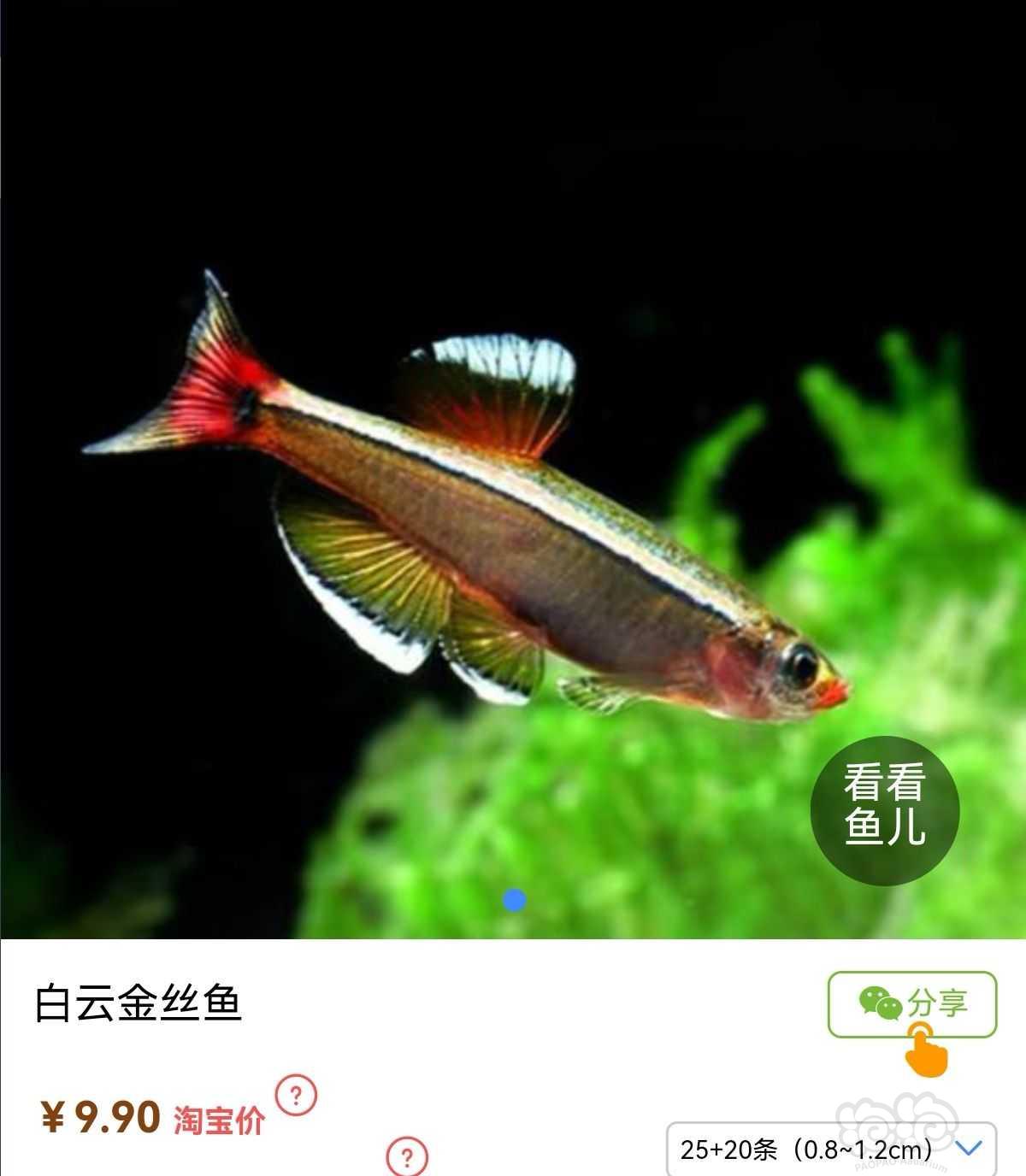 【求购】求购冷水鱼-图1