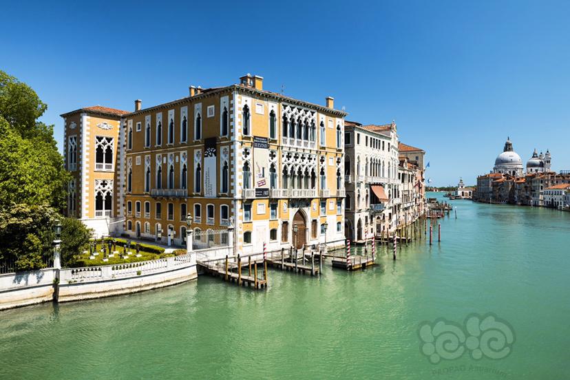 威尼斯大运河-图1