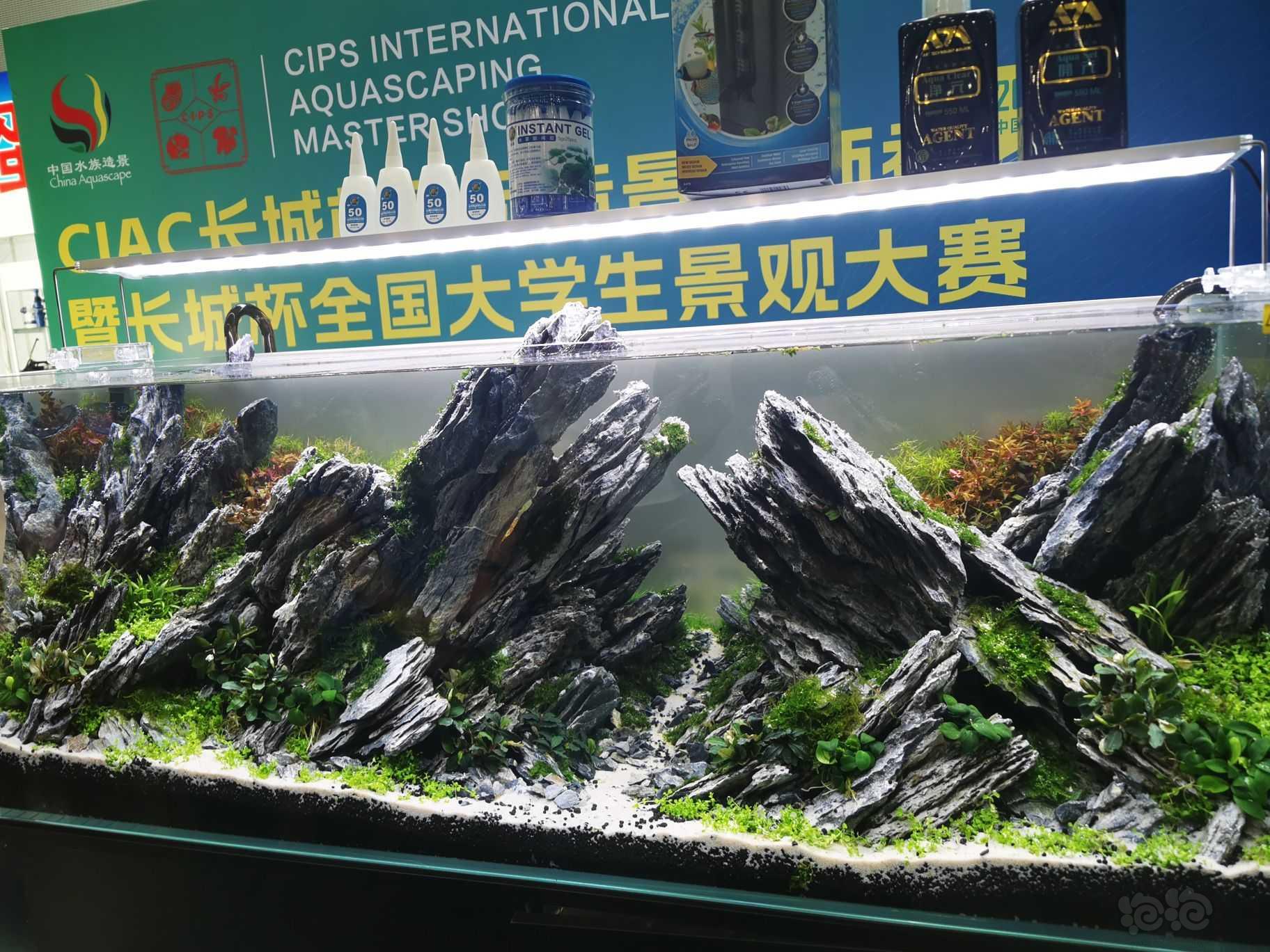 在广州会展拍的造景-图1
