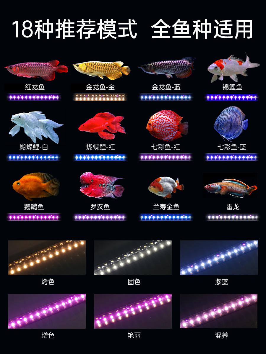 【活动】【威尔康】T12观赏鱼增艳培育灯新品发布抽奖推广活动-图3
