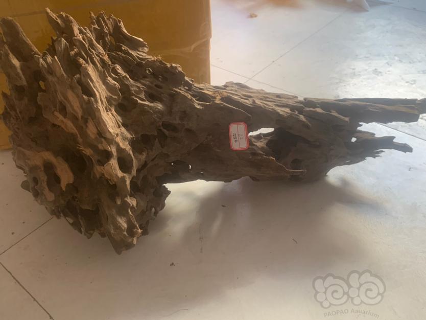 贵州贵阳来一波虾木。沉木-图4