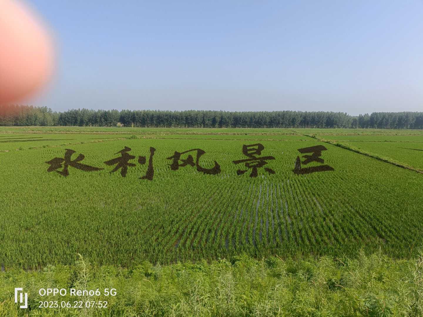今年的稻田画，不一样的风景，没事冒个泡-图3