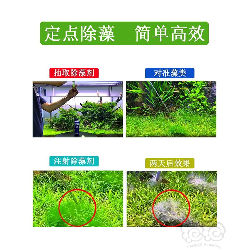【器材】水草打肥器  除藻器  6.9元包邮-图3