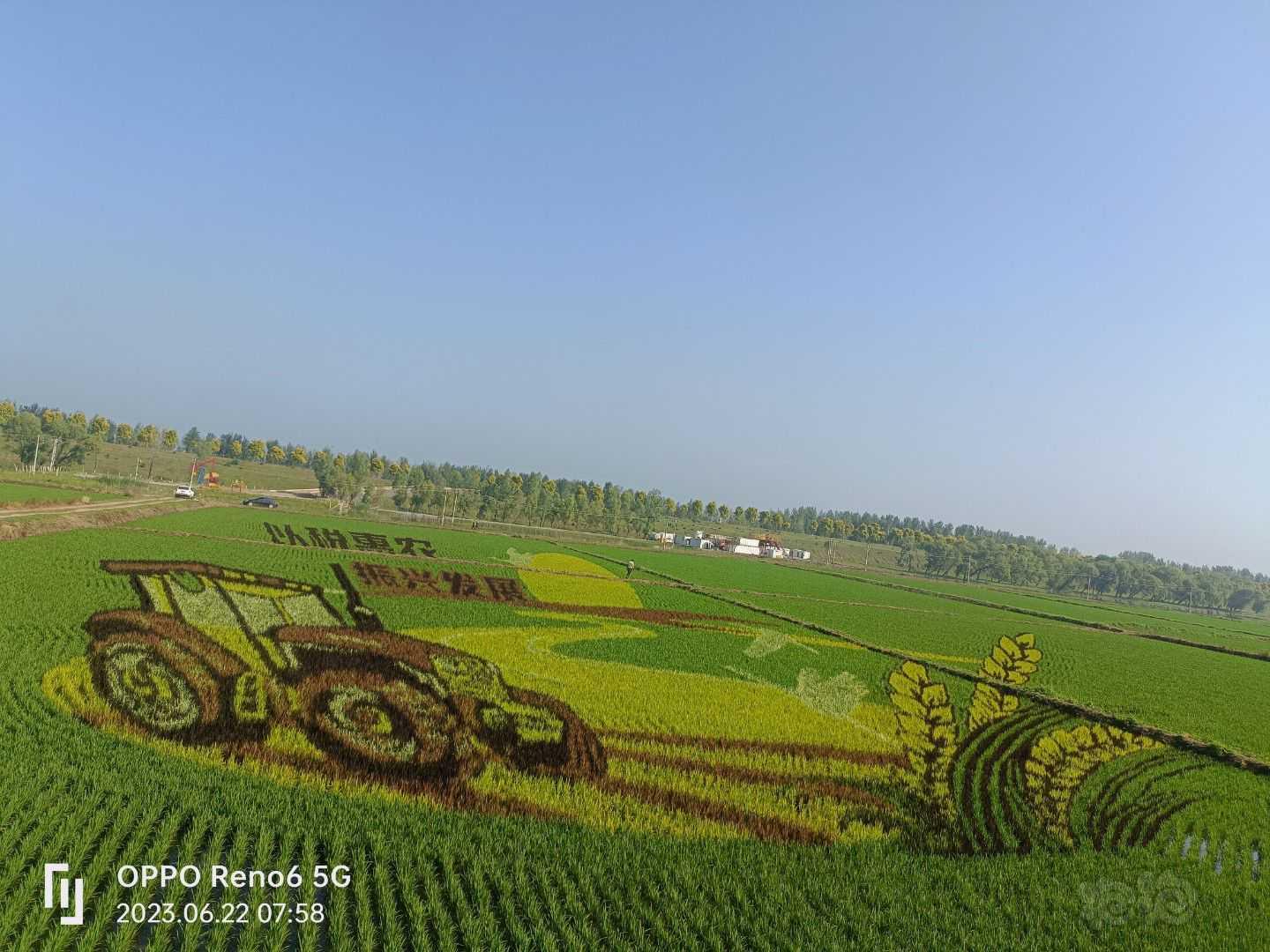 今年的稻田画，不一样的风景，没事冒个泡-图5