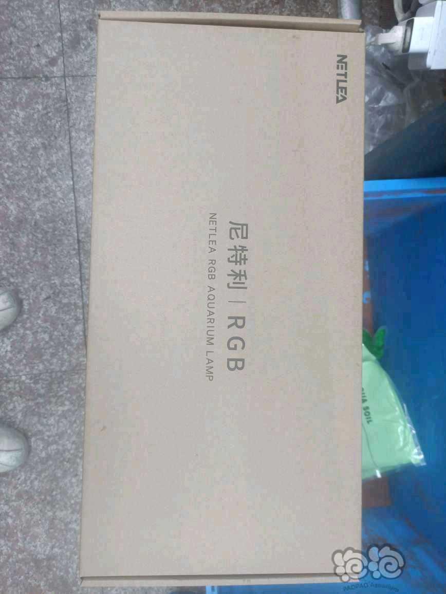 【用品】2023-7-28#RMB拍卖全新尼特利水草灯-图2
