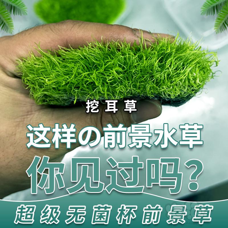 【水草】挖耳超级无菌杯 10×10厘米 24.9元包邮-图5