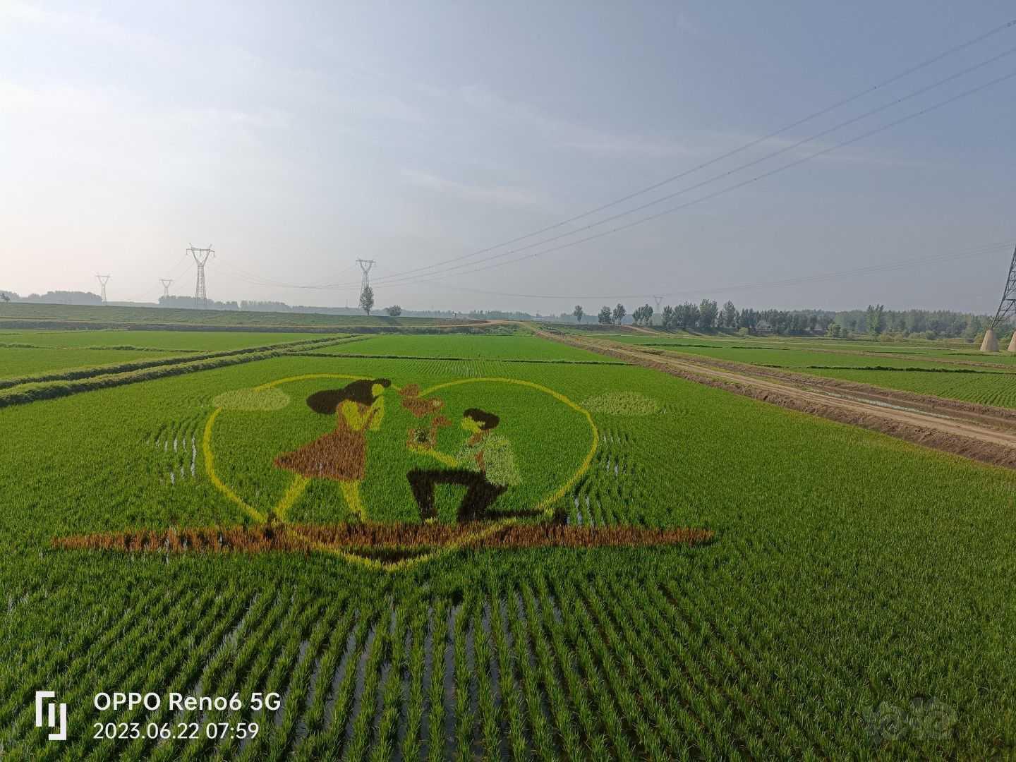 今年的稻田画，不一样的风景，没事冒个泡-图6