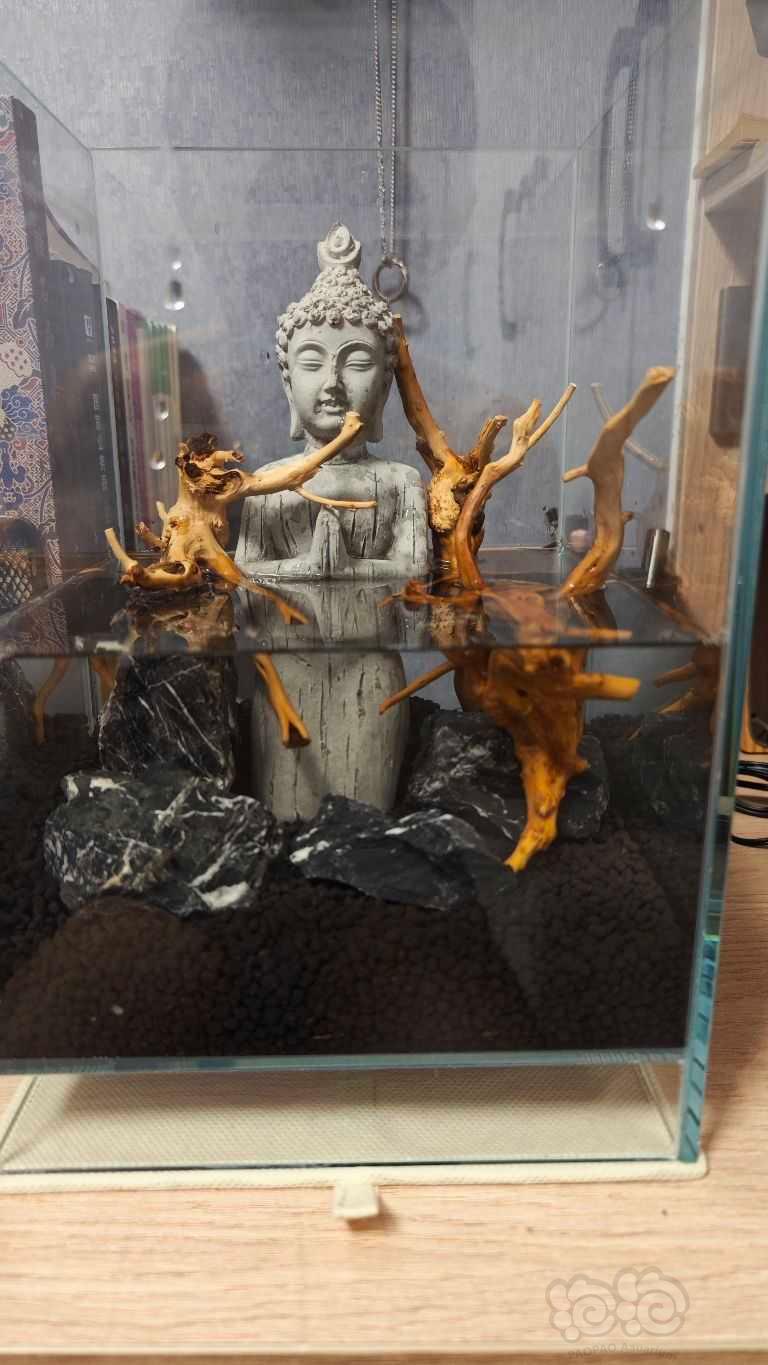 【出售】出售高仿，水泥版，失落的世界buddha statue-图4