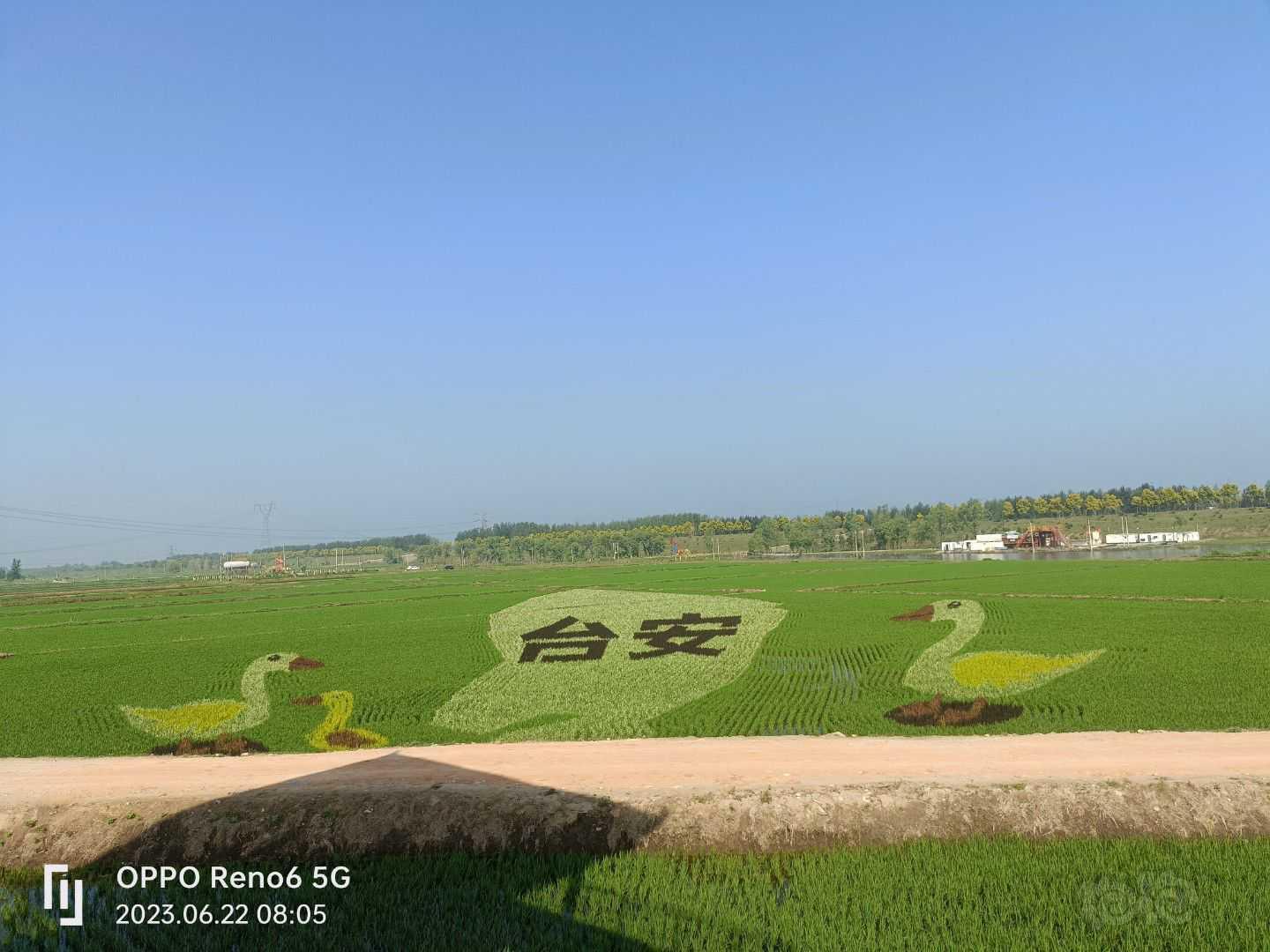 今年的稻田画，不一样的风景，没事冒个泡-图9