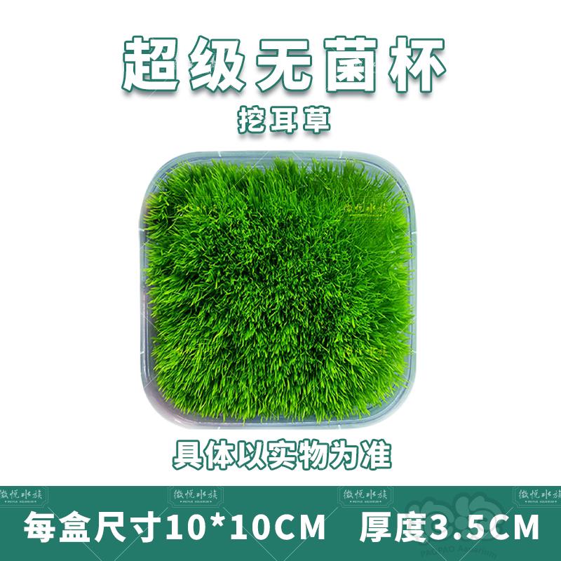 【水草】挖耳超级无菌杯 10×10厘米 24.9元包邮-图6