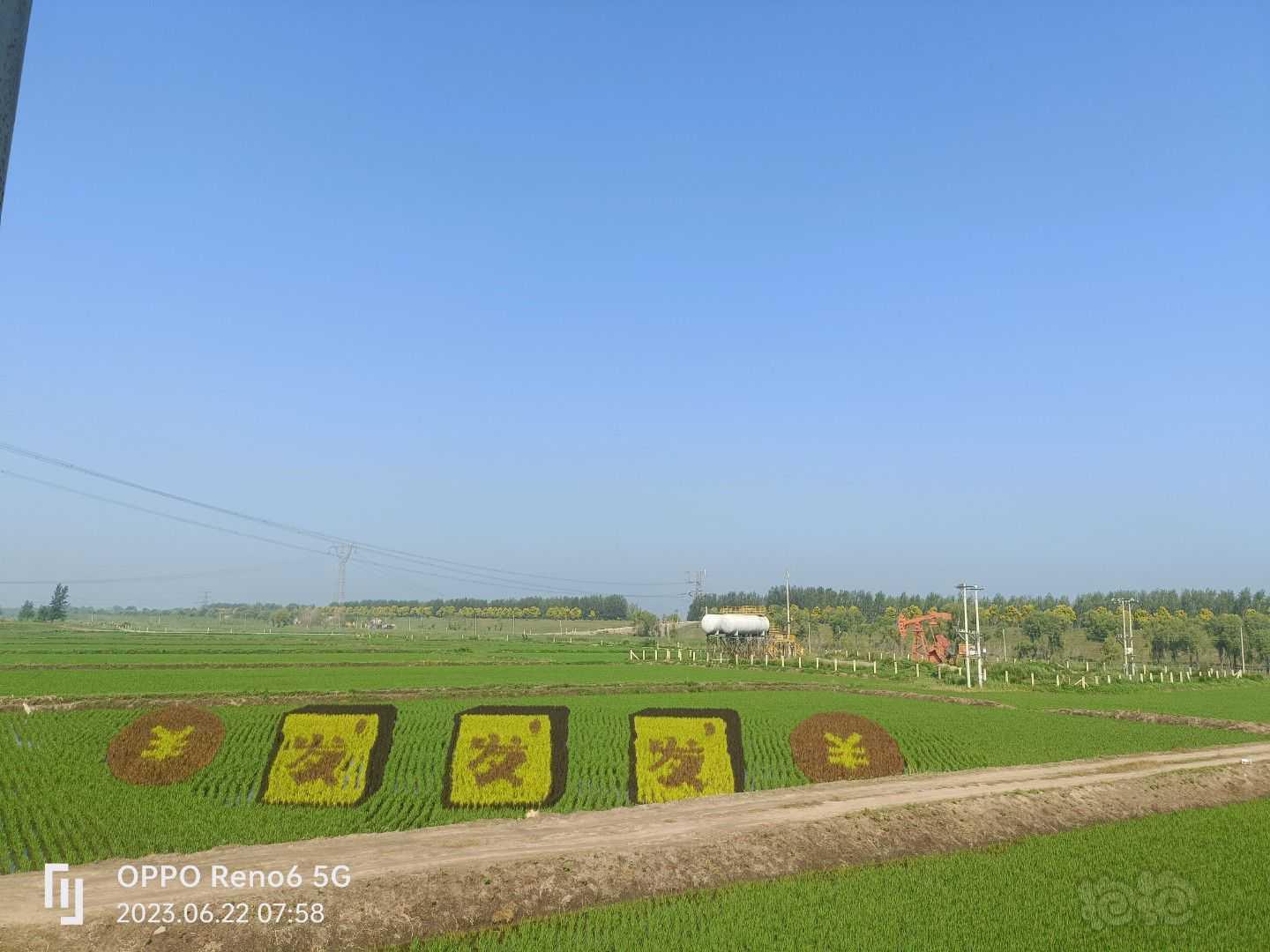今年的稻田画，不一样的风景，没事冒个泡-图10