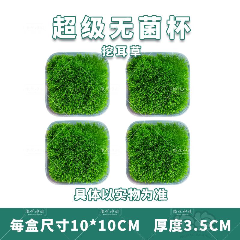 【水草】挖耳超级无菌杯 10×10厘米 24.9元包邮-图9