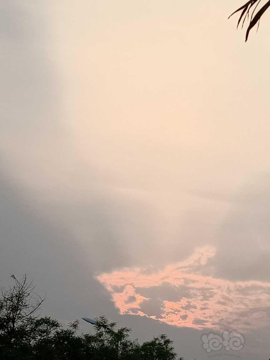 夕阳的云-图1