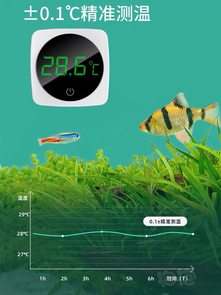 【用品】2023-8-25#RMB拍卖迷你触屏电子温度计-图3