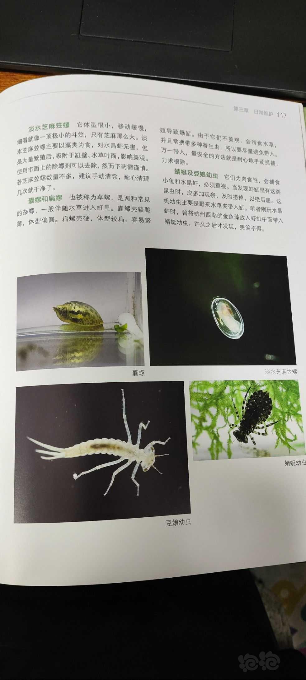 【用品】2023-9-2#RMB拍卖#《情迷水晶虾:鉴赏与养殖》书-图6
