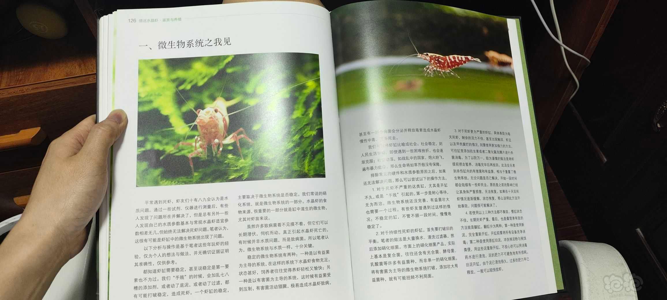 【用品】2023-9-2#RMB拍卖#《情迷水晶虾:鉴赏与养殖》书-图9