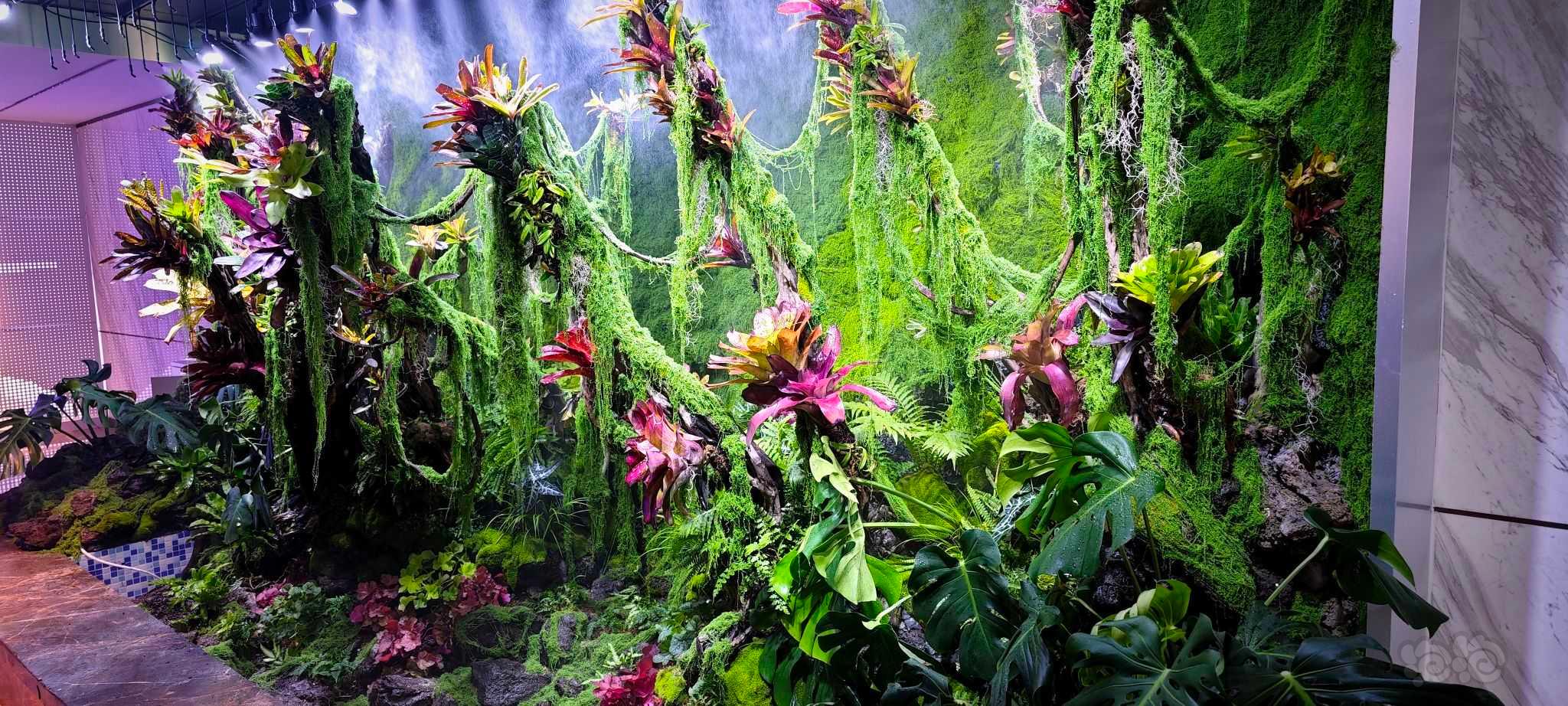 【雨林】进一步丰富植物的大型雨林-图5