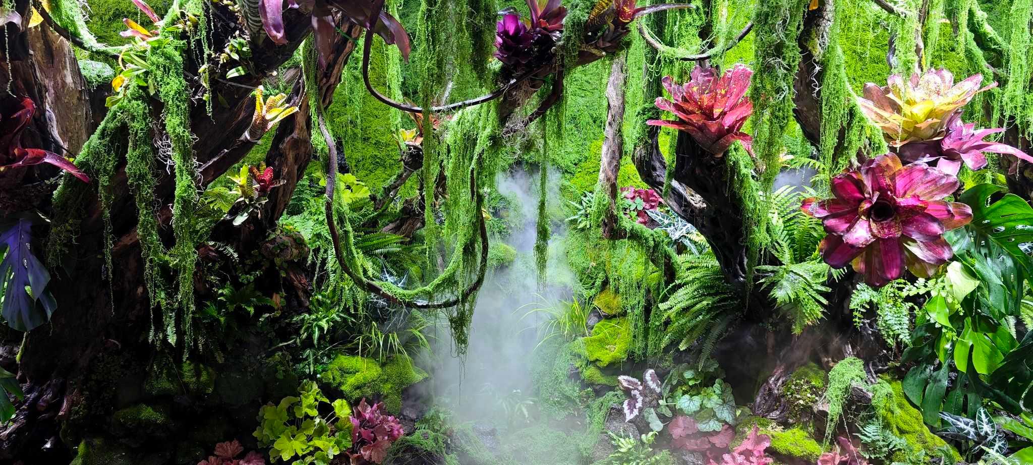 【雨林】进一步丰富植物的大型雨林-图10