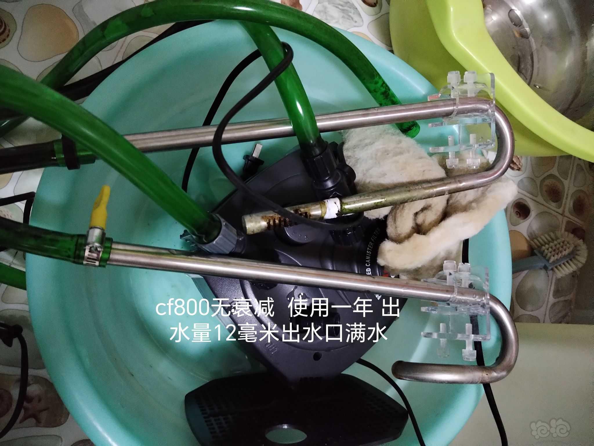 【器材】创星cf800+前置刮藻刀磁力刷饲料各种液肥 一体紫柚木-图3