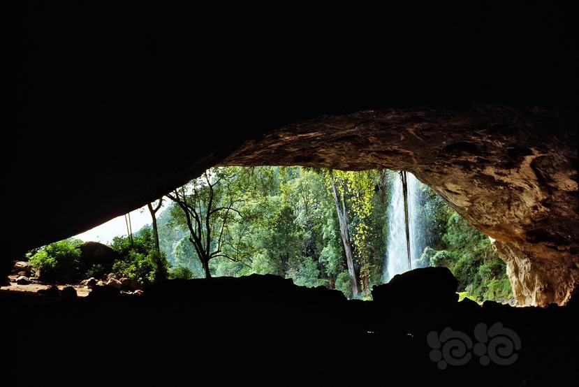 基图姆洞穴-图1
