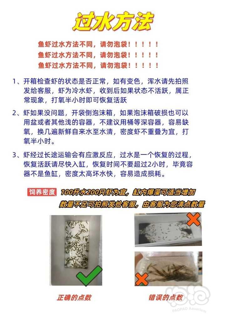 【米虾】黑壳虾9.9元600只包邮，高密度发货-图3