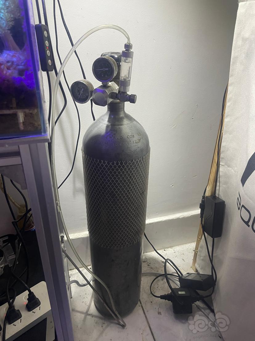 【器材】10L二氧化碳钢瓶➕减压阀和记泡器-图1