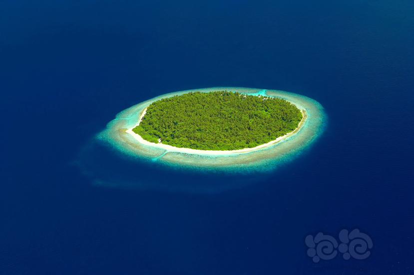 马尔代夫的荒岛-图1