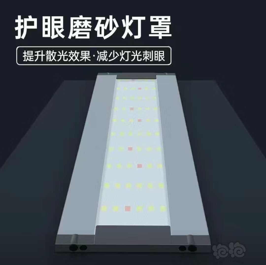 【器材】水草灯1.2米50元-图6