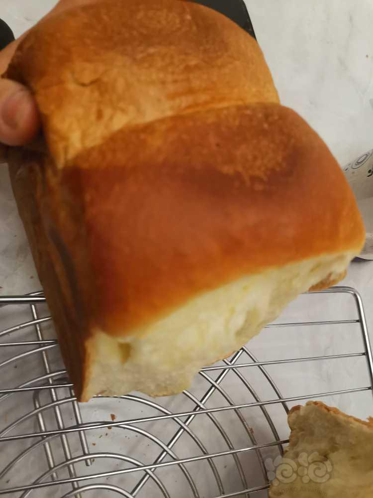 🍓烤面包🍓-图3