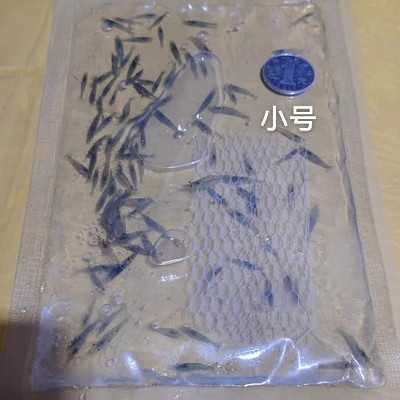 【虾螺】黑壳虾10元600只包邮中通-图1