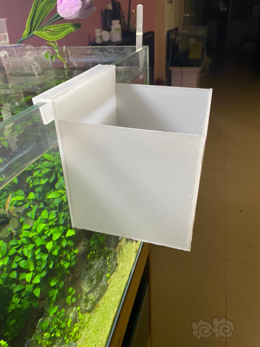 【鱼缸】隔离盒繁殖盒-图1