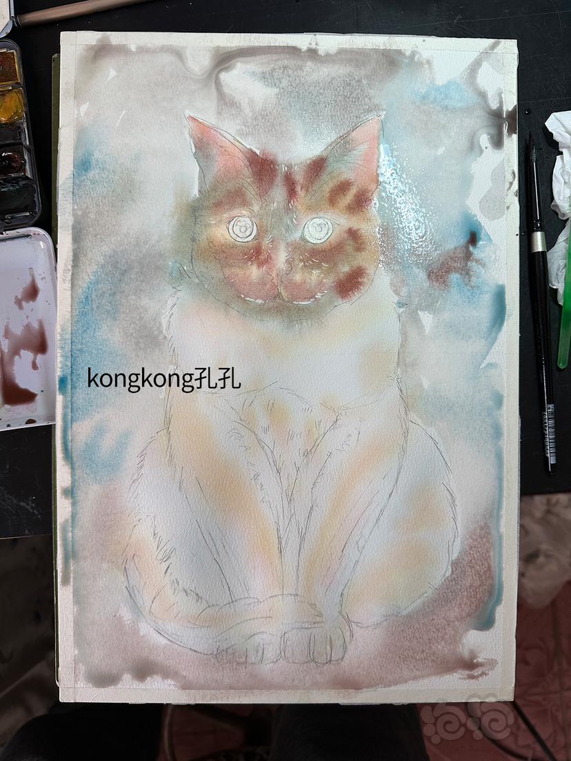 孔孔水彩画，猫咪-图7