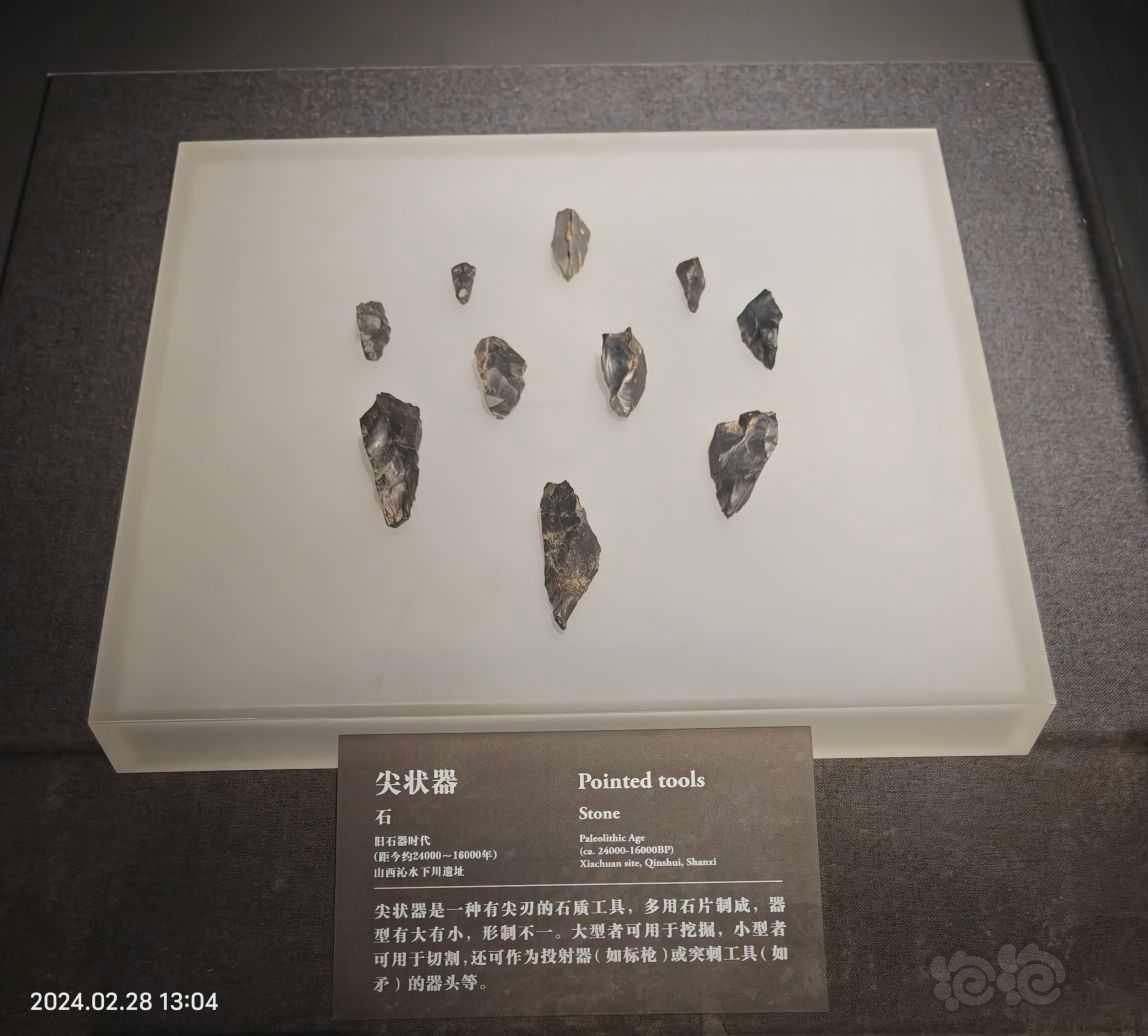 中国考古博物馆-图8