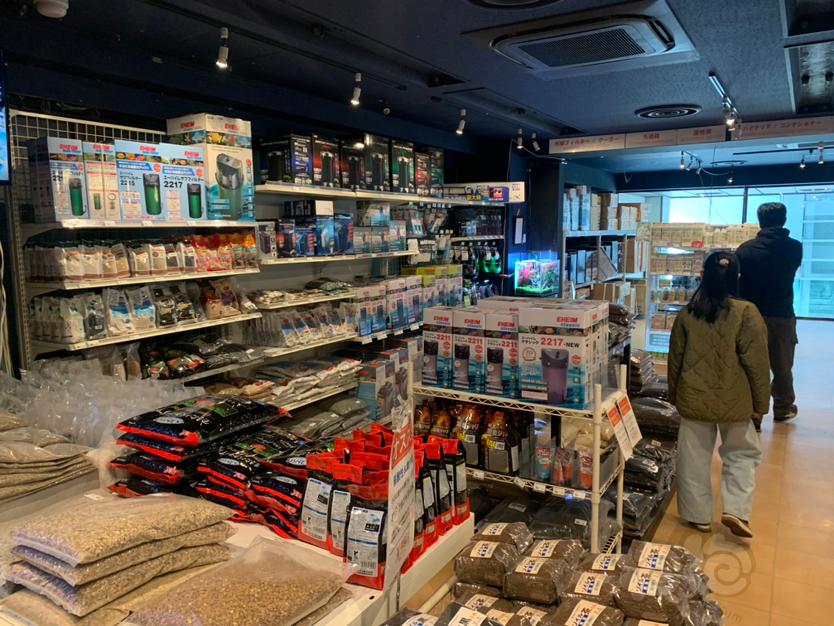 探访日本热带鱼店ll-图7