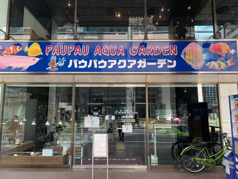 探访日本热带鱼店ll-图1