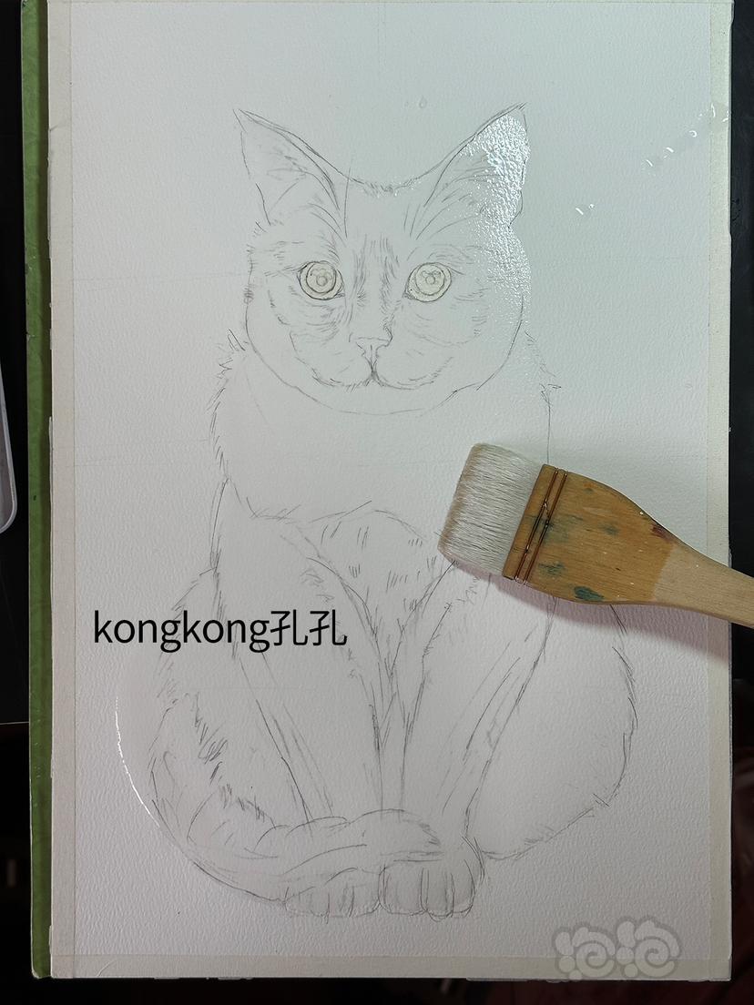 孔孔水彩画，猫咪-图3