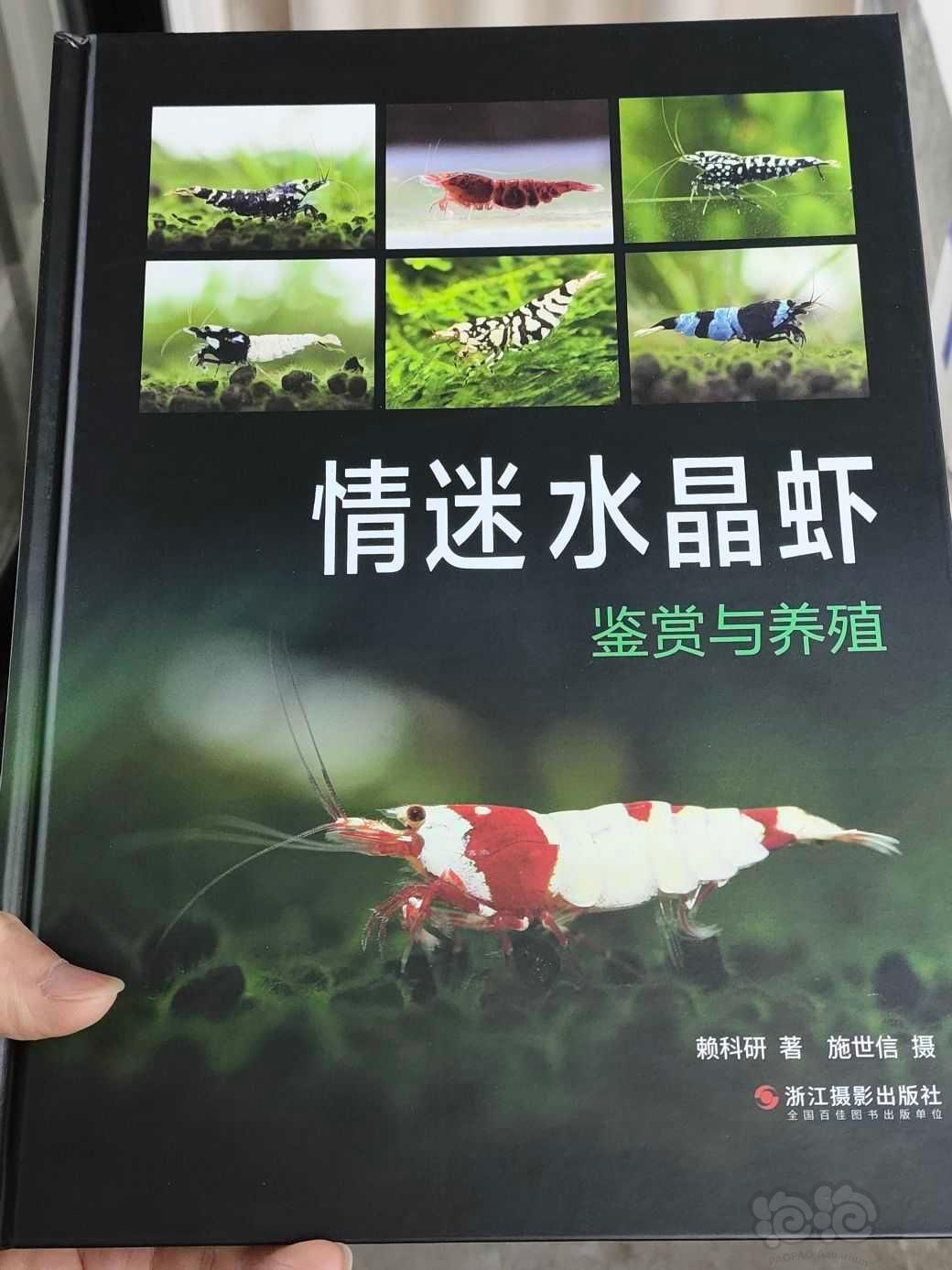 2024-2-23#RMB拍卖#全新《情迷水晶虾》书1本-图4