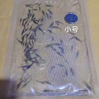【米虾】黑壳虾批发零售，大中小3个规格，中通，顺丰快递包邮-图7