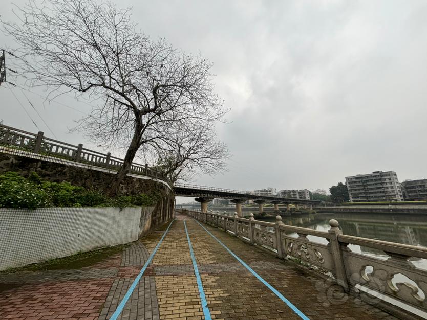 广东最后的铁路道口-图4