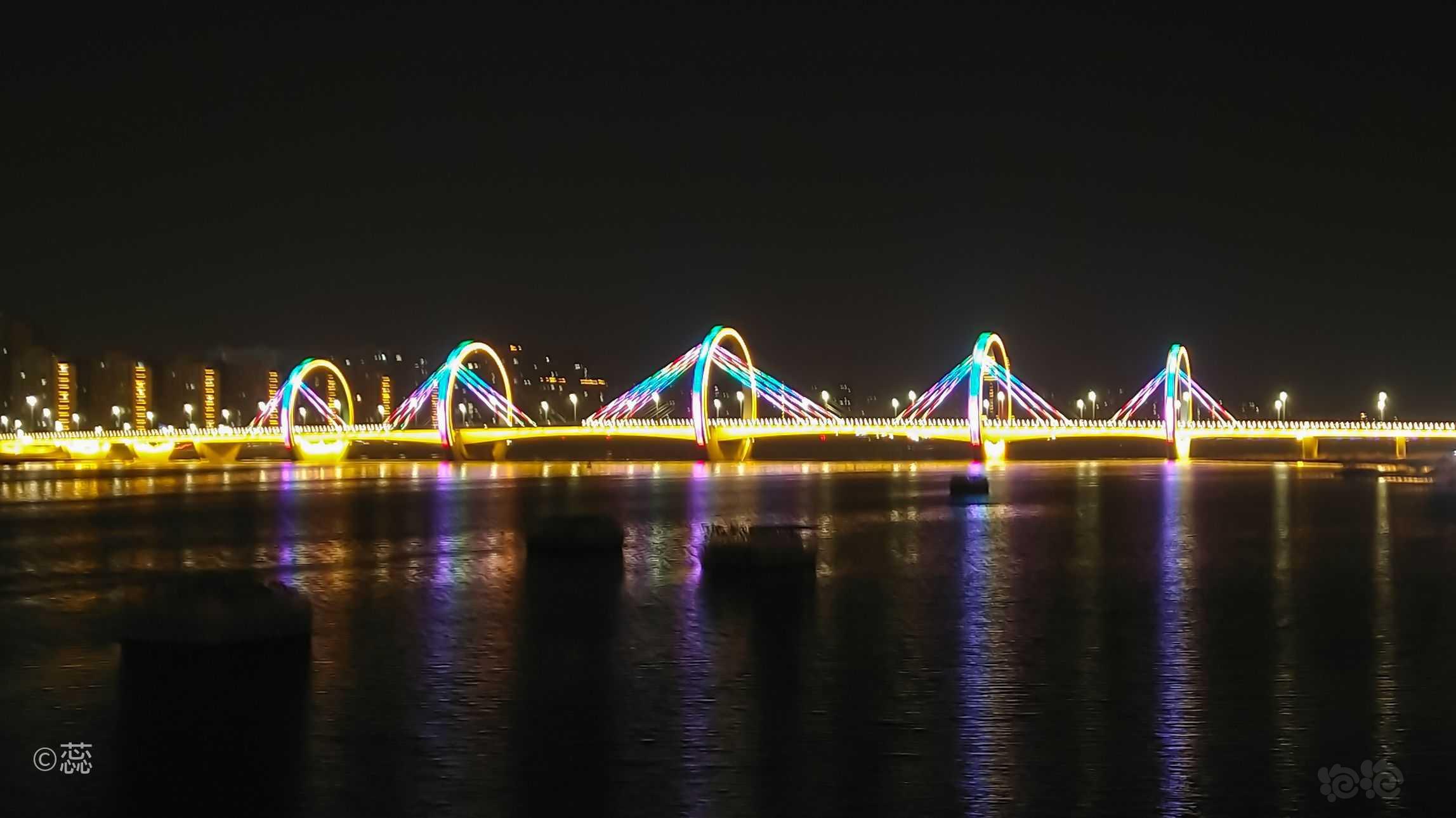 启阳大桥夜景-图1