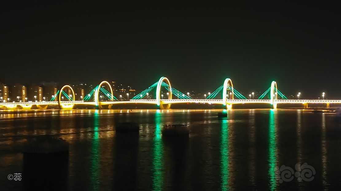 启阳大桥夜景-图2