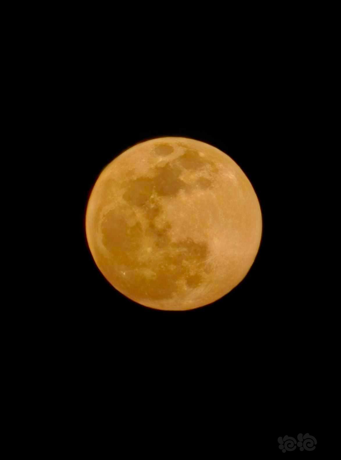 今晚的月亮好圆啊-图2