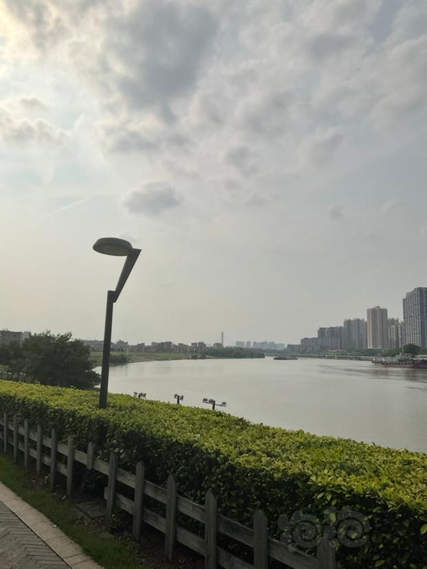 the park near the Shunde River-图5