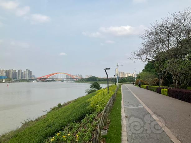 the park near the Shunde River-图7