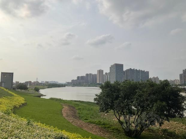the park near the Shunde River-图1
